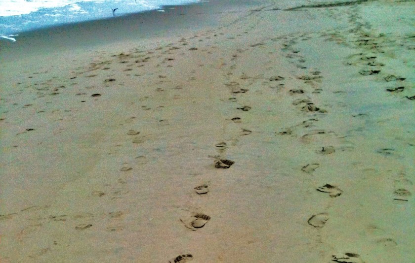 sandy path (3)