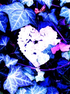 heart-in-ivy.jpg